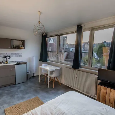 Charmant Lumineux Studio Esplanade * ستراسبورغ