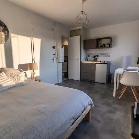Charmant Lumineux Studio Esplanade * ستراسبورغ