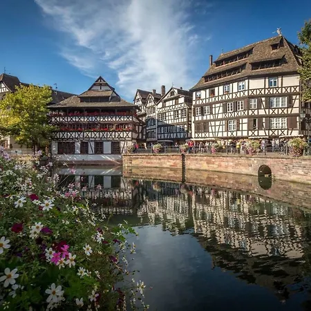 Charmant Lumineux Studio Esplanade شقة *