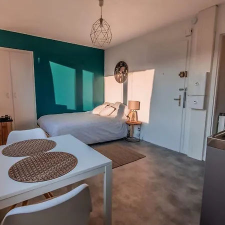 Apartment Charmant Lumineux Studio Esplanade